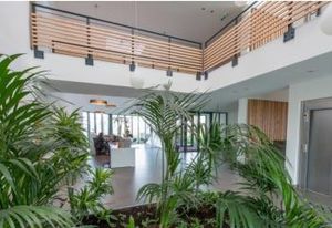 Bureaux à louer Balma - Secteur Est Toulouse, proche métro A