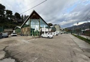 Location locaux mixtes Carros - Entrée ZI La Grave