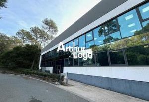 Vente bureaux Mougins - Proximité A8 et Sophia Antipolis
