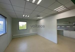 Local d'activité à vendre Villematier - Proche rocade Toulousaine