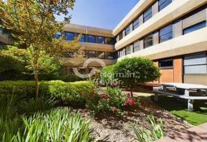 Location bureaux Montpellier Antigone - Proche tram et gares