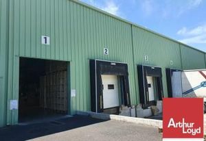 Location entrepôt Bollène - Proche A7 sortie 19