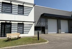 Location local d'activité Décines-Charpieu - Parc récent 2018