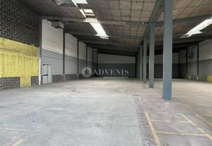 Location entrepôt/showroom Villeneuve-d'Ascq - Proche A22 et Lille