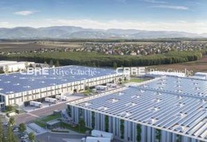 Location entrepôts Gambsheim - Proche Strasbourg et autoroutes A5/A8