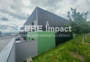 Location local d'activité Cernay-lès-Reims - Face rond-point Veuve Clicquot