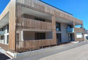 Local pro à vendre Rosheim - À 2 min de l'A35
