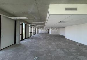 Bureaux à louer Lyon 9 - Immeuble neuf proche métro Valmy