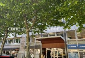 Vente bureaux Strasbourg - Vue Avenue de la Paix et tram au pied