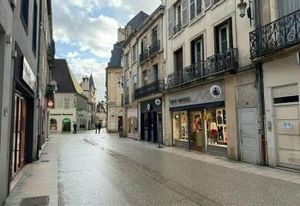 Location local commercial Dijon - Rue piétonne T1 T2