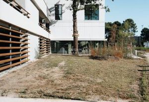 Location bureaux Pessac, Europarc, proche rocade, autoroute et tramway