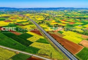 Location local activité Morangis - Proche A6 et RN7