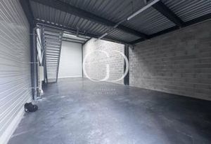 Location local d'activité Décines-Charpieu - Parc H2O