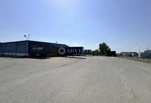 Vente entrepôt à quai Blanquefort - 12 quais et hauteur 5,5 m