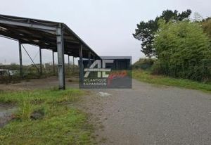 Location local d'activité Montoir-de-Bretagne - Axes Saint-Nazaire/Nantes