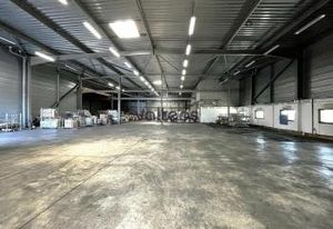 Location local d'activité Saint-Jean - Proche A68 et rocade