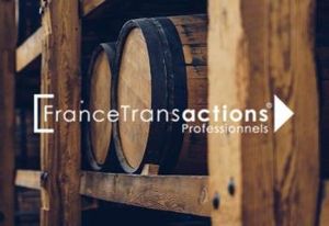Fonds de commerce bar/restaurant Toulouse