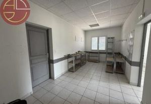Vente entrepôt Castanet-Tolosan - Zone d'activités