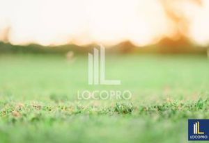 Location local d'activité Nice - Accès A8 et transports en 5 min