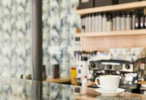 Location local commercial Lyon 2 - Quartier Perrache
