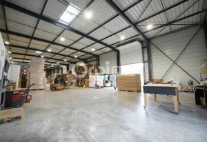 Location local d'activité Montmerle-sur-Saône - Proche A6