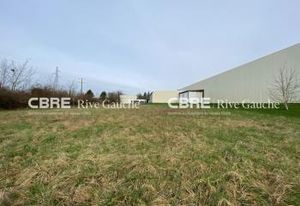 Vente entrepôt froid Illkirch-Graffenstaden - Proche A4/A35