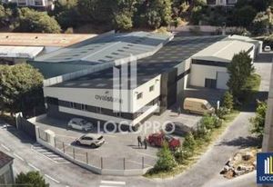 Local d'activité à louer La Trinité - Batiment rénové