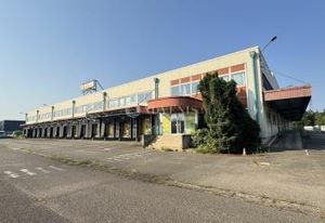 Vente plateforme logistique Illkirch-Graffenstaden - Zone Sud