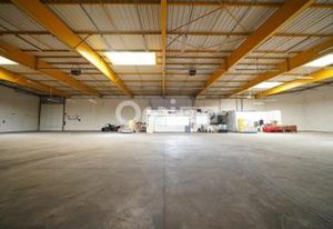 Location local d'activité Miribel - Accès A46/A432