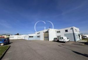 Vente entrepôt Saint-André-de-Corcy - Zone d'activité - Visibilité rond-point