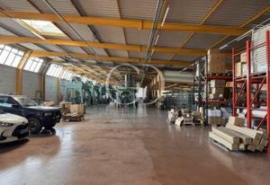 Vente entrepôt Saint-André-de-Corcy - Zone d'activité - Visibilité rond-point