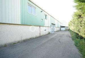 Location local activité Mions - Proche A46 et transports