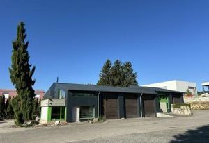 Location local d'activité Didenheim - Bureaux et halls