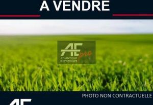 Terrain médical Saint-Nazaire - Proche 4 voies et commerces