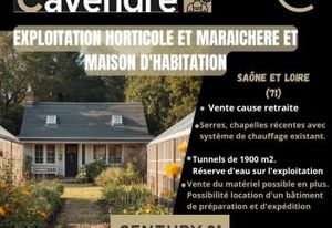 Vente exploitation horticole Chalon-sur-Saône - Serres et tunnels 1900 m²