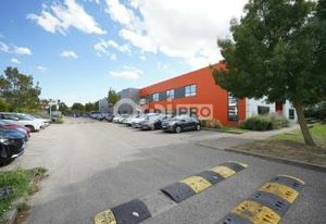 Location local d'activité Saint-Priest - Accès direct A43