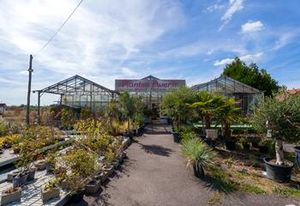 Serre horticole à vendre Montchanin - Zone UX