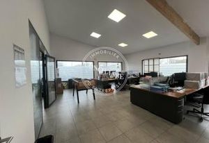 Location showroom + entrepôt Plaisance-du-Touch - Axe majeur