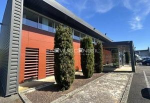Vente bureaux Montauban - Proche future gare LGV et CHU