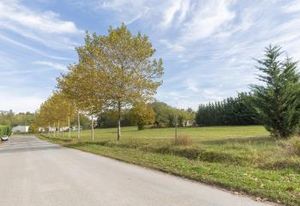 Terrain divisible à vendre Drevant - accès autoroute A71