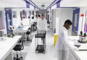 Laboratoires à louer Evry-Courcouronnes - Pré-industrialisation bioprocédés