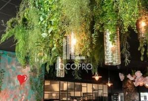Restaurant à vendre Grasse Côte d'Azur