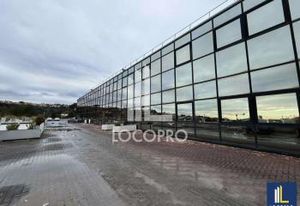 Location bureaux Villeneuve-Loubet - Pôle Marina 7, proche A8