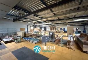 Vente ensemble professionnel Soufflenheim - Zone UXm