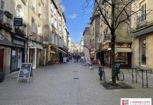 Location cellule commerciale Rennes centre-ville sud Vilaine