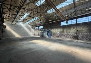 Local d'activité à vendre Rillieux-la-Pape - Parc sécurisé
