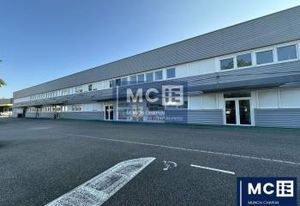 Location local activité/bureaux Mundolsheim - Proche A35