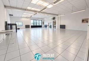 Location local activité Soufflenheim - Showroom + stockage 405 m²