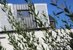 Bureaux à louer Quimper - ZAC Gourvily, axe très fréquenté