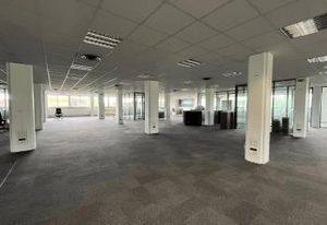 Bureaux à louer Landersheim - Vue campagne alsacienne et parking gratuit